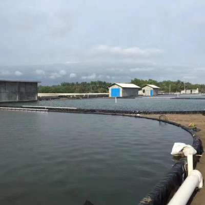 0.5mm  fish farm hdpe geomembrane / shrimp pond liner / fish tank liner