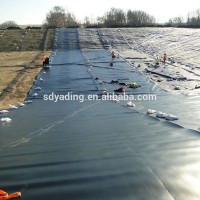 Polyethylene hdpe geomembrane waterproof membrane for waste dregs disposing field